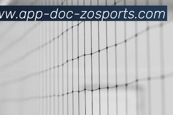 中欧体育APP品牌故事